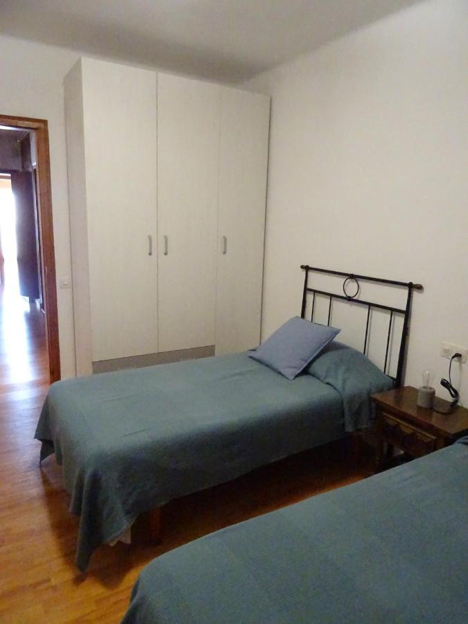 Ferienwohnung Pis Acollidor Amb Llar De Foc, Al Centre Camprodon Exterior foto